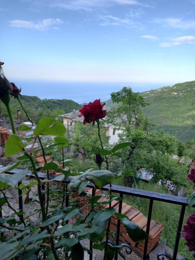 Orizontas Pilio Villa キソス エクステリア 写真