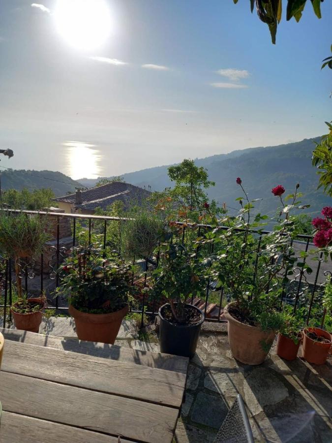 Orizontas Pilio Villa キソス エクステリア 写真