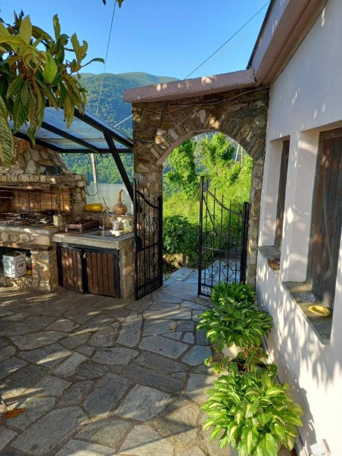 Orizontas Pilio Villa キソス エクステリア 写真