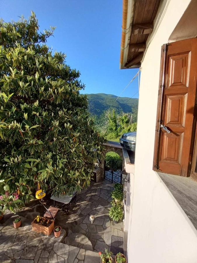 Orizontas Pilio Villa キソス エクステリア 写真